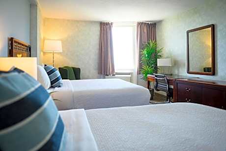 Standard Double Room with Two Double Beds