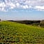 Chianti B&B Design infinity pool shared
