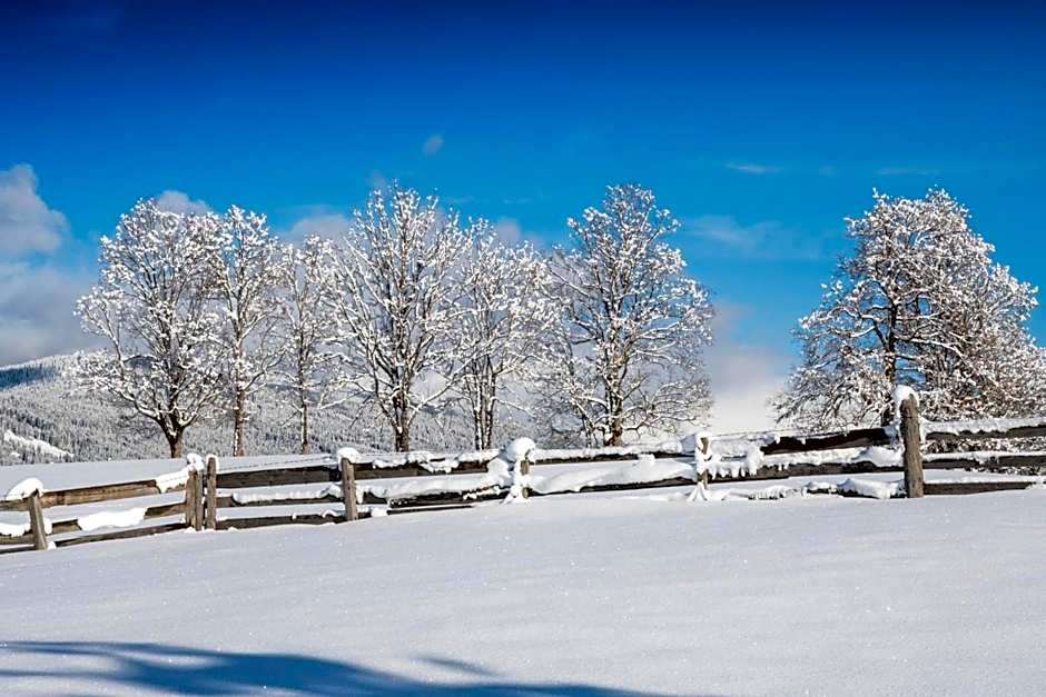 Hotel Alpenwelt Superior