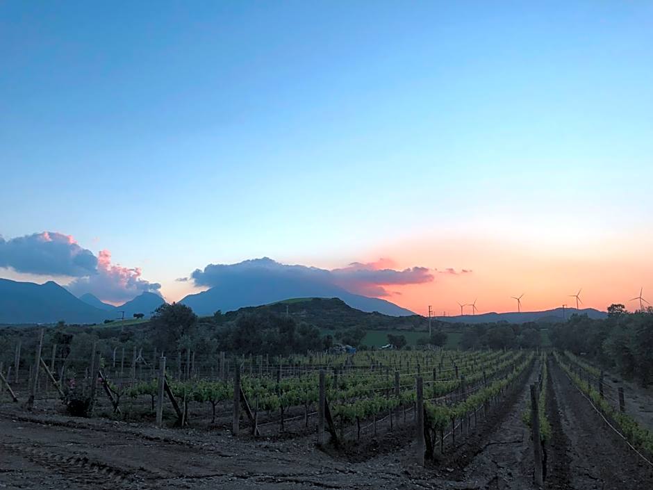 Datça Vineyard Guesthouse - Over 14 years old only