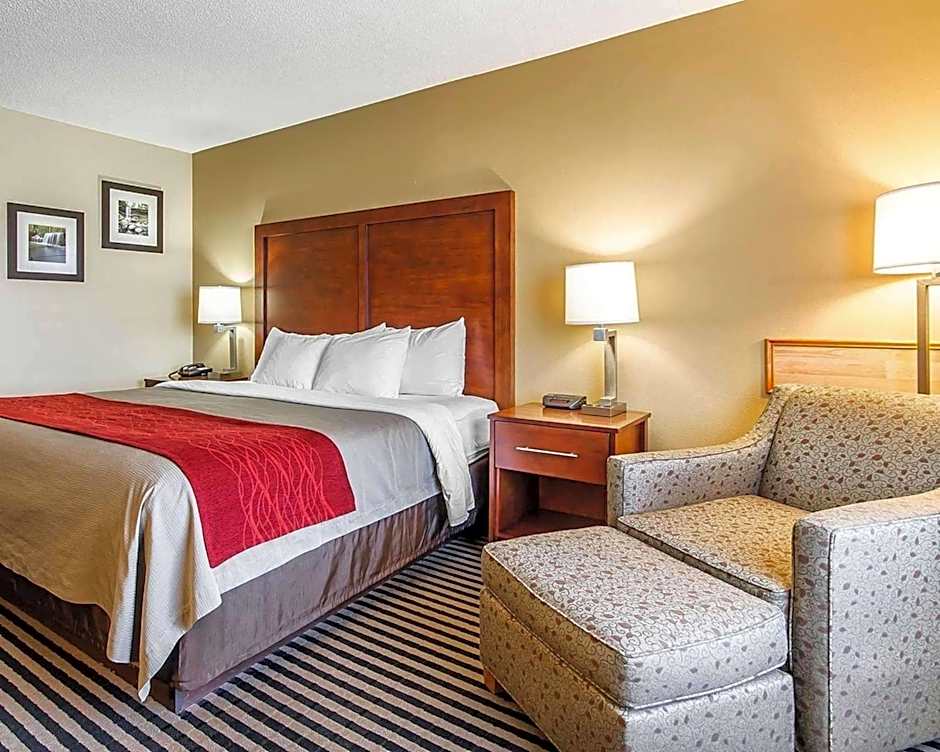 Comfort Inn Owatonna near Medical Center