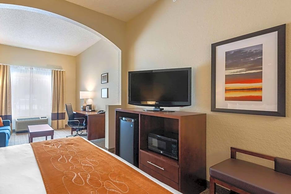 Comfort Suites Downtown