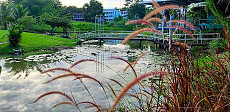 Bungalow - Water Front