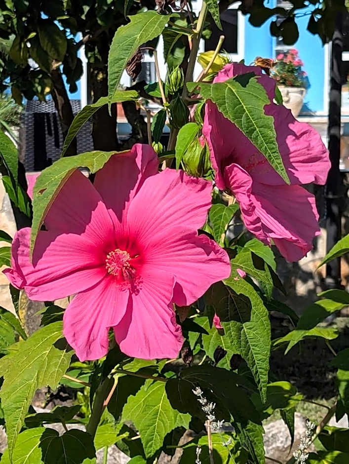 Centro Ferie Salvatore