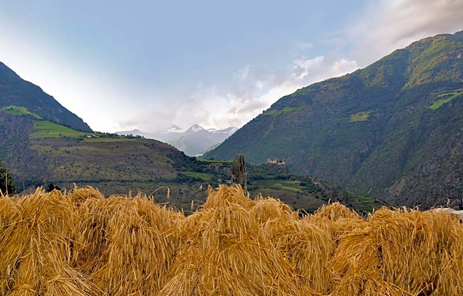 Gasthof Weisses Kreuz