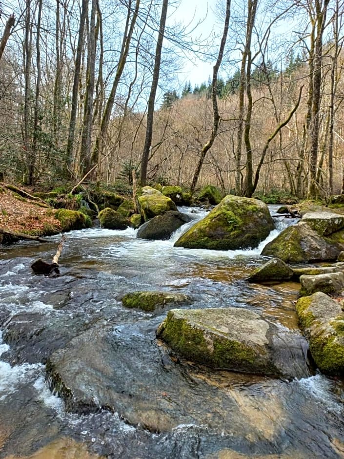 Auberge du Précontent