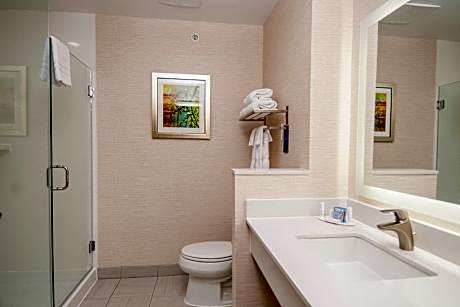 Room, 1 King Bed (Hearing Accessible) (1 King Bed)