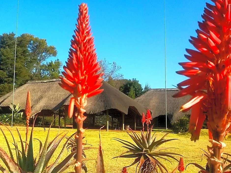 African Flair Country Lodge