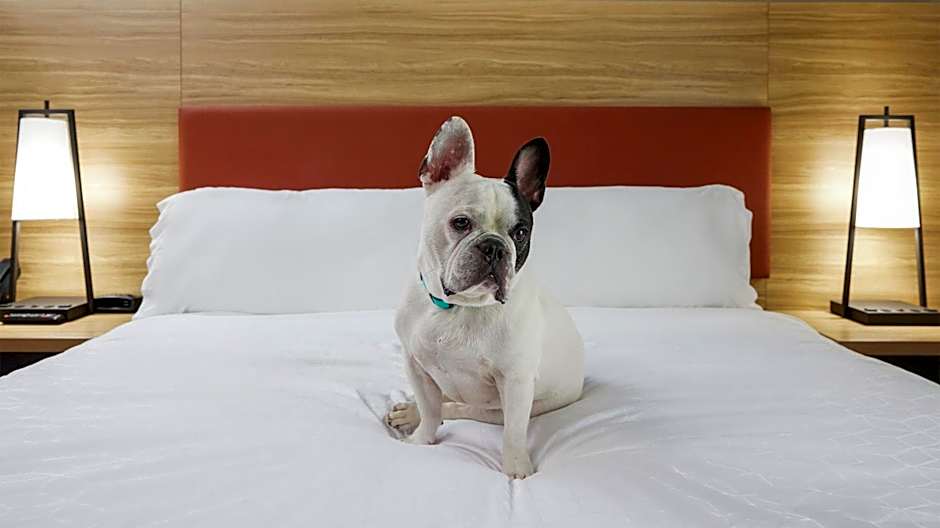 CANDLEWOOD SUITES GREENWOOD VILLAGE DTC by IHG