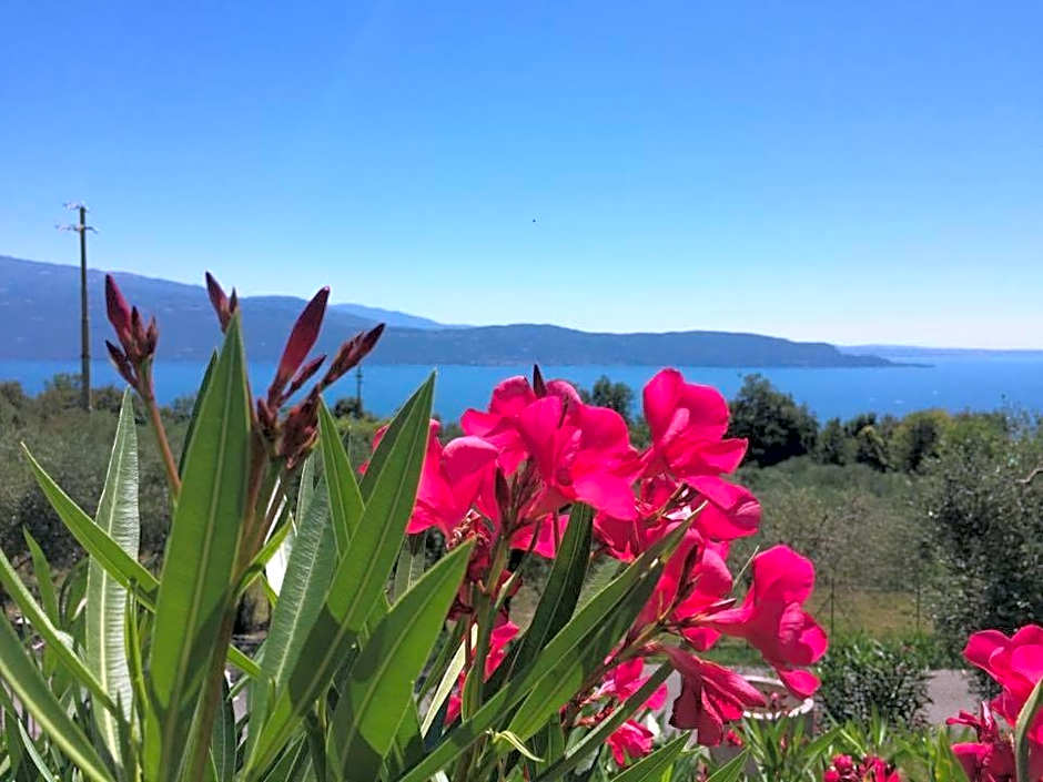 Caselli Vigole al Sole