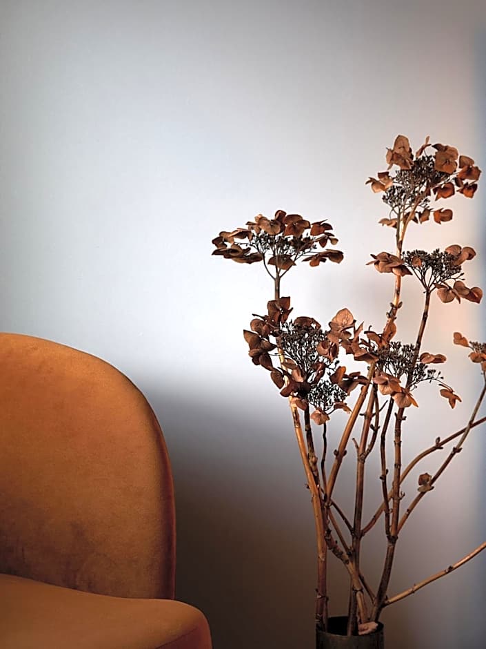 The Dairy Hotel Queenstown, A Naumi Chapter