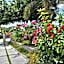 Hotel Bel Air