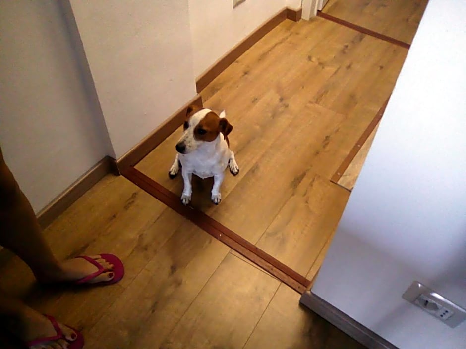 b&b ilfenicottero