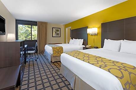 2 Queen Beds Studio Suite Non-Smoking