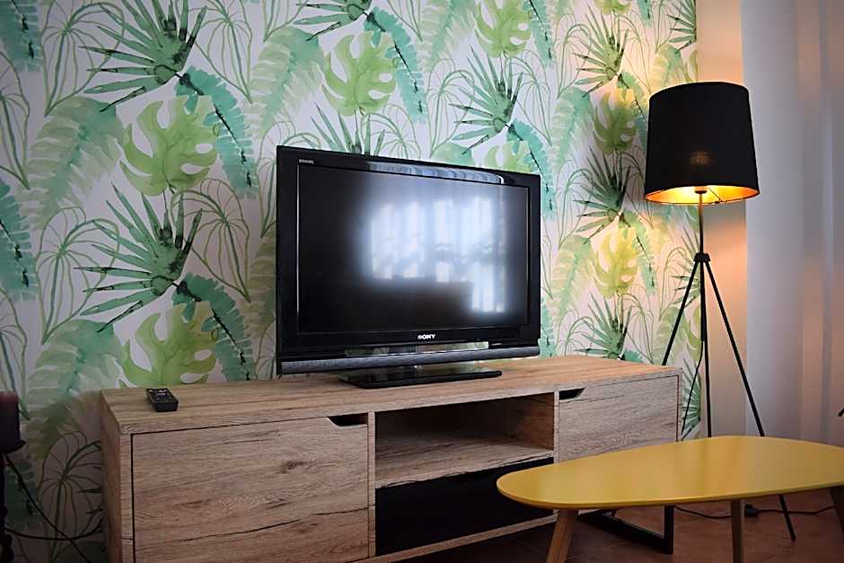 OLIVO 15E - Terraza y vistas