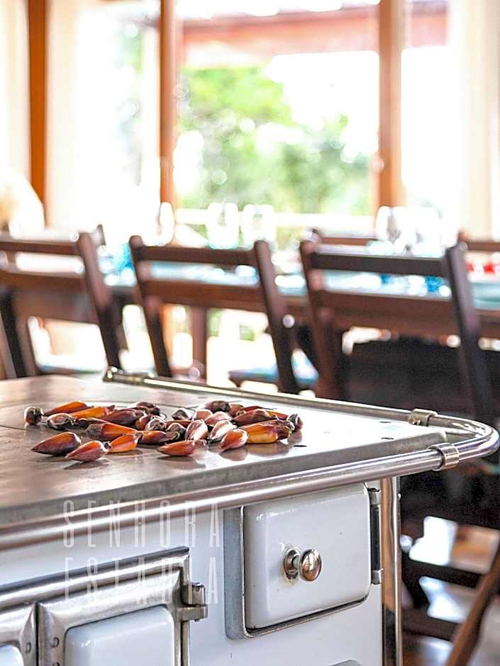 Canarinho Ranch, Wood Stove, with a View