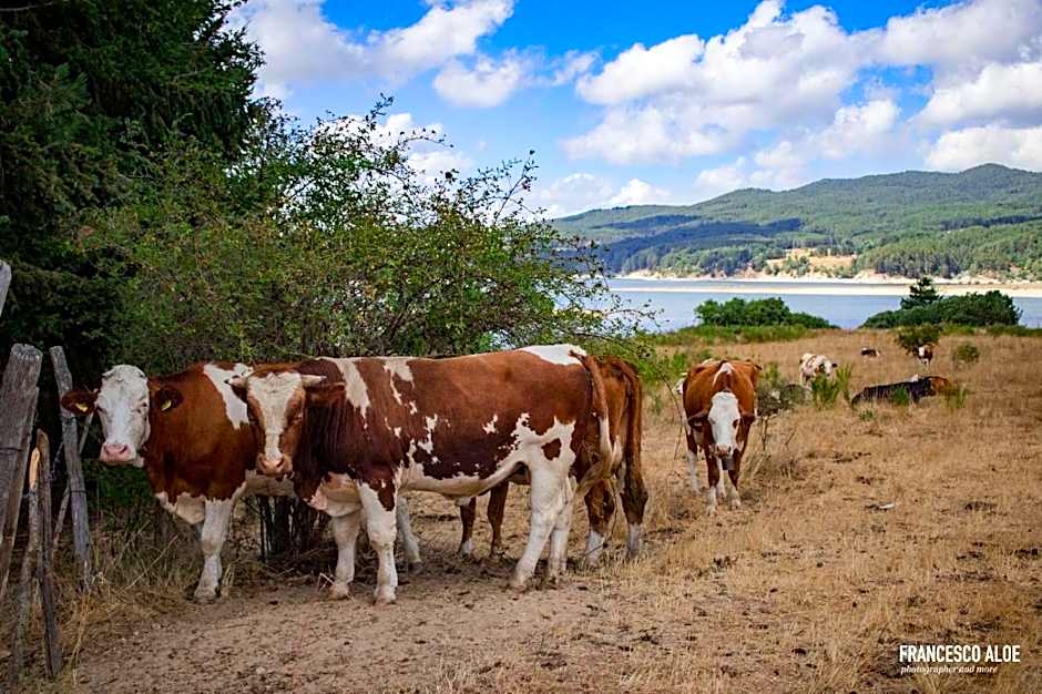 La Casa Di Chiaretta