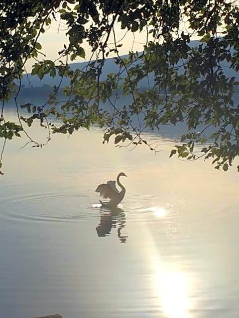 B&B Il Portico del Conte