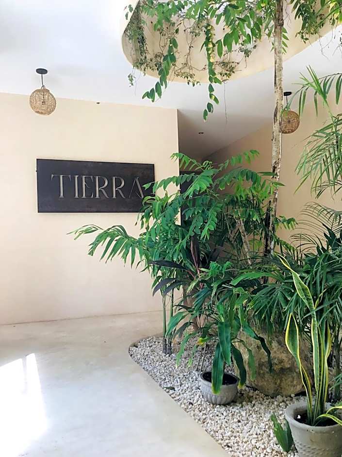 Apartments Suites Tierra Tulum - Pool & Roof Panoramic