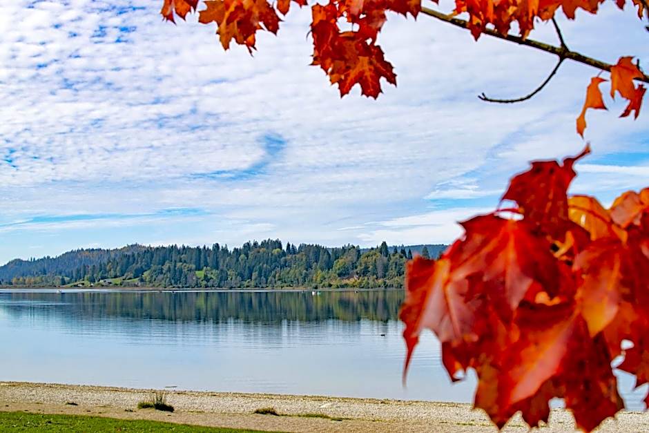 Hôtel-Restaurant Le Lac