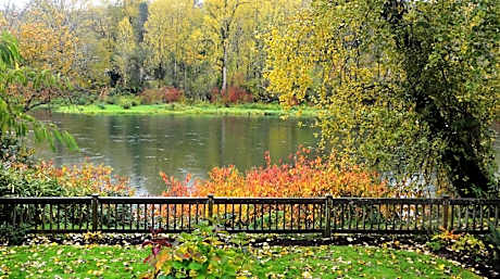 Standard King Room with River View