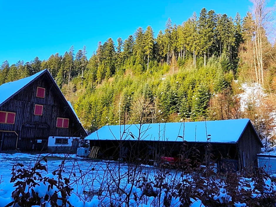 Gut Lauterbad Hotel