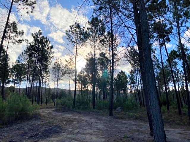 Krakeelpoort Herberg