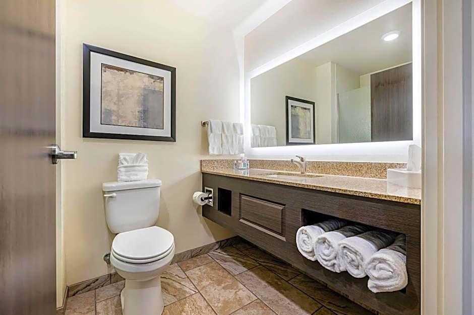 Comfort Inn & Suites Medina NY near Erie Canal