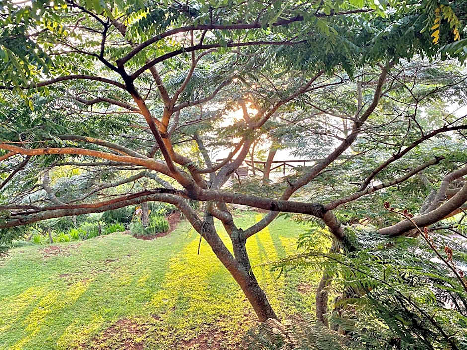 Tinkers Lakeside Lodge - Kruger