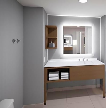 1 King Bed Studio Suite