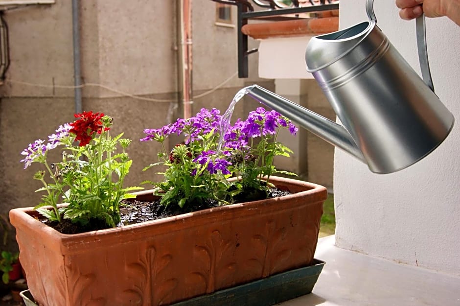 Un coccodrillo a FrAsSiNo