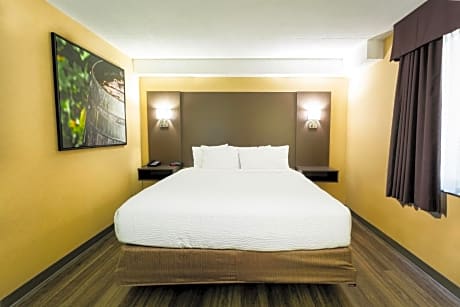 King Room - Non-Smoking