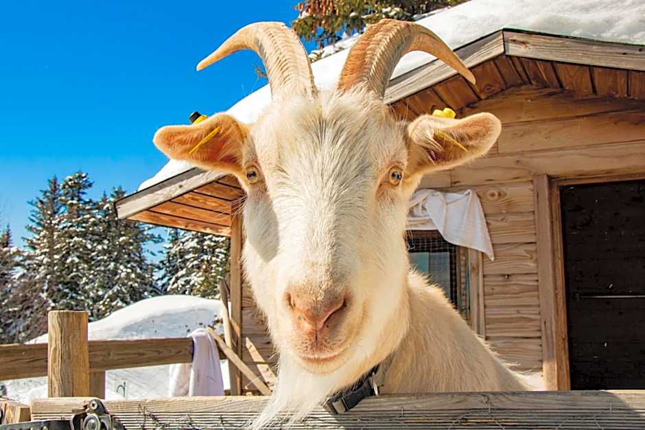 Résidence Les Villages du Bachat