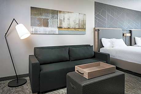 Suite, 1 King Bed with Sofa bed (1 King Bed and 1 Double Sofa Bed)