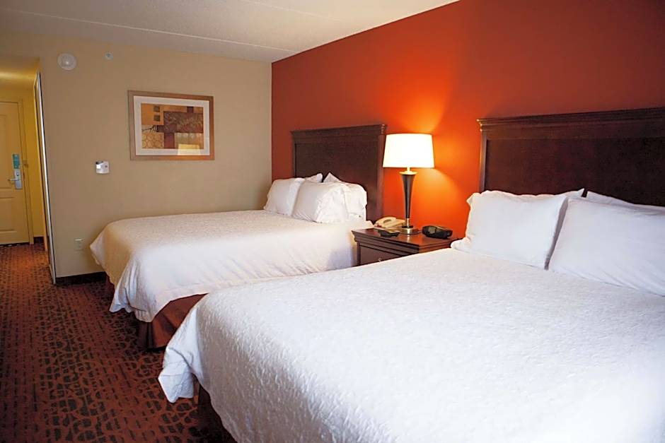 Hampton Inn By Hilton Rochester-Webster