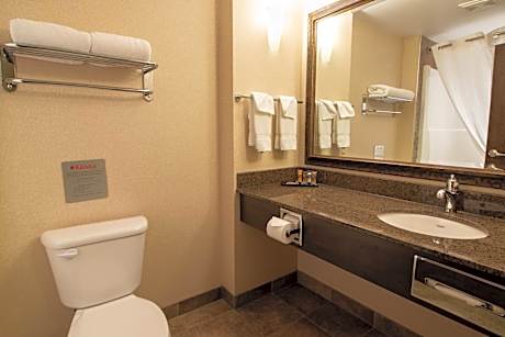 Deluxe King Suite