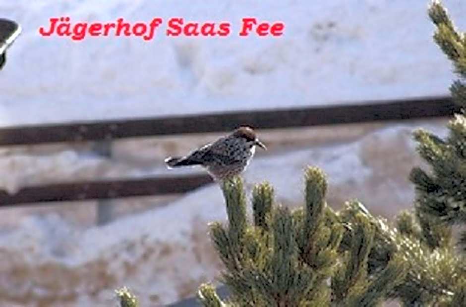 Hotel Garni Jägerhof