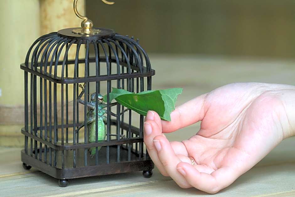 Shangshan Hotel Leshan