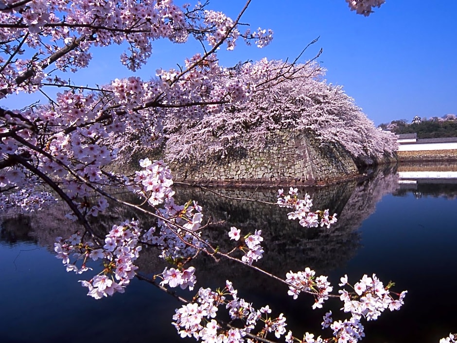 Apa Hotel Hikone Minami