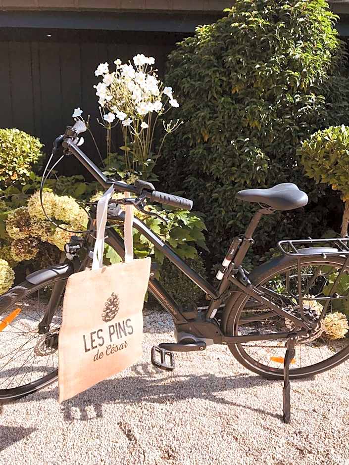 Les Pins de César - La campagne d'Etretat