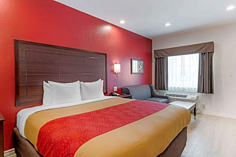 1 King Bed, Efficiency, Nonsmoking, Accessible