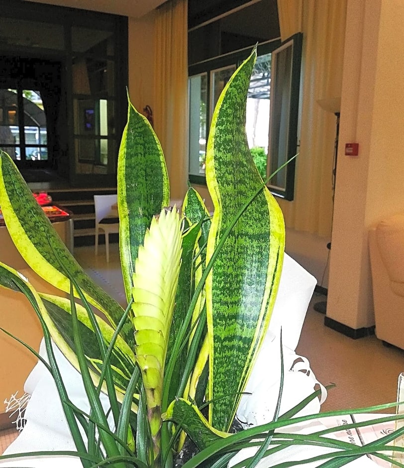 Hotel K2 Cervia 3 stelle sup