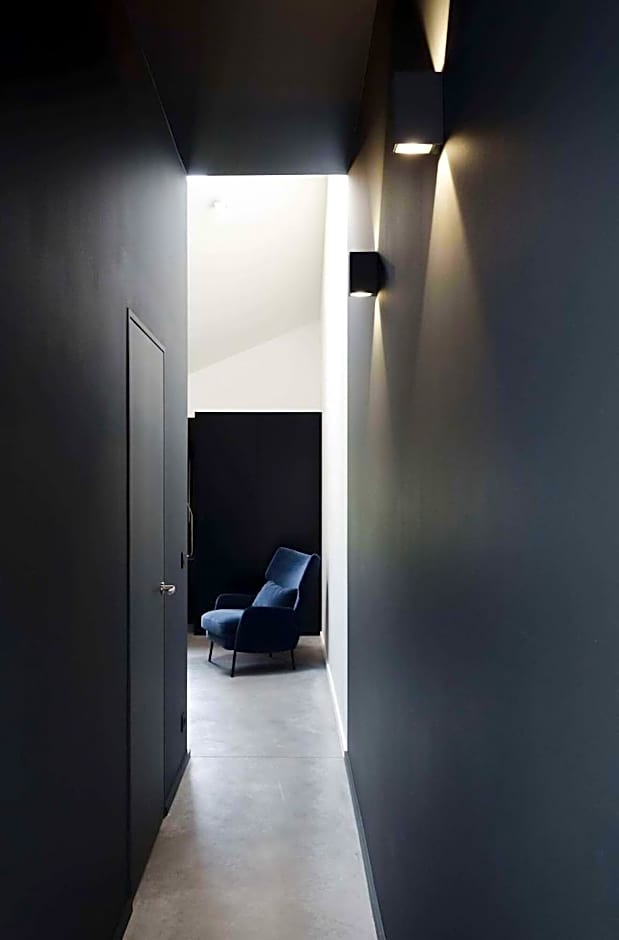 Dimensions M