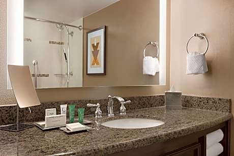 1 KING EXEC LVL CORNER RM HEARING ACCESSIBLE