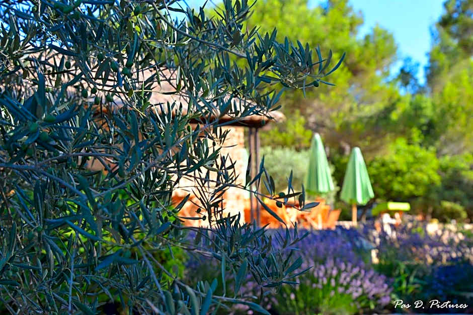 Le Jas de Joucas Hotel-Restaurant