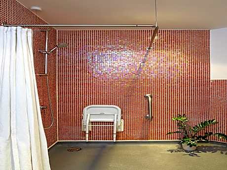 Standard Double Accessible