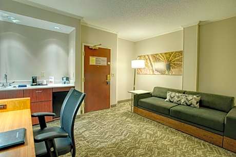 One-Bedroom Queen Suite with Sofa Bed