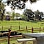 Quinta da Devesa -B2