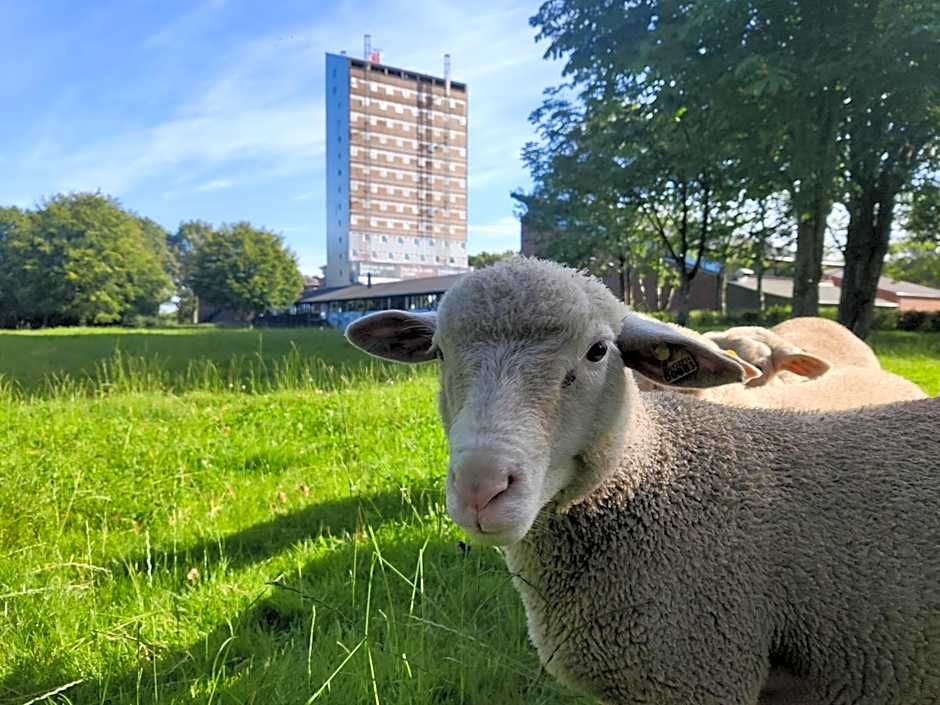 Højhuset Kulturhotel