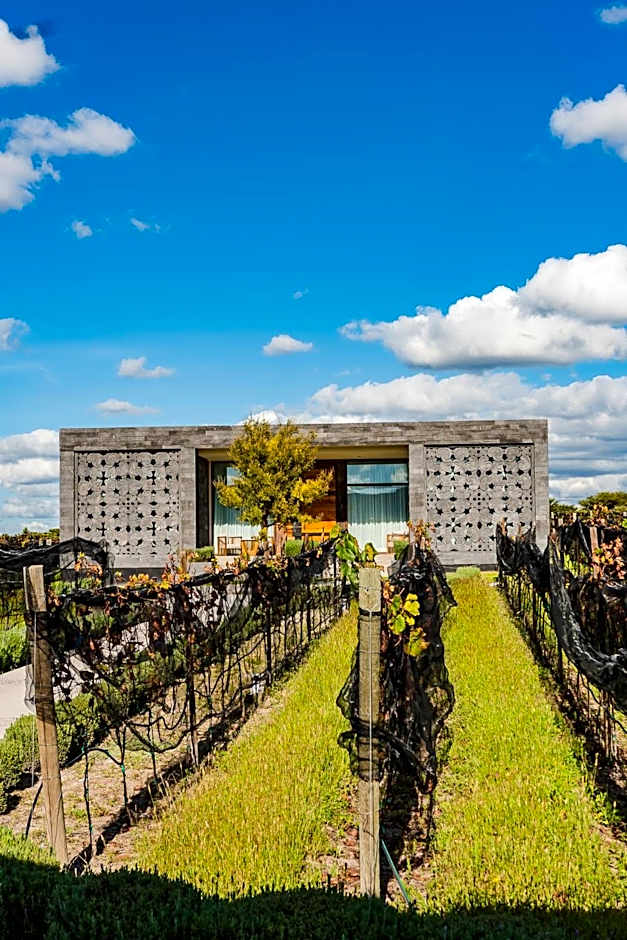 Casa Raíces Hotel Luxury & Viñedo